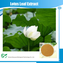 Extracto de la hoja de Lotus de la fuente de la alta calidad de la fábrica